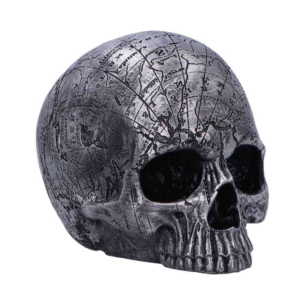 Nemesis Now - Mind Map 15cm Beeld/figuur - Schedel - Zilverkleurig
